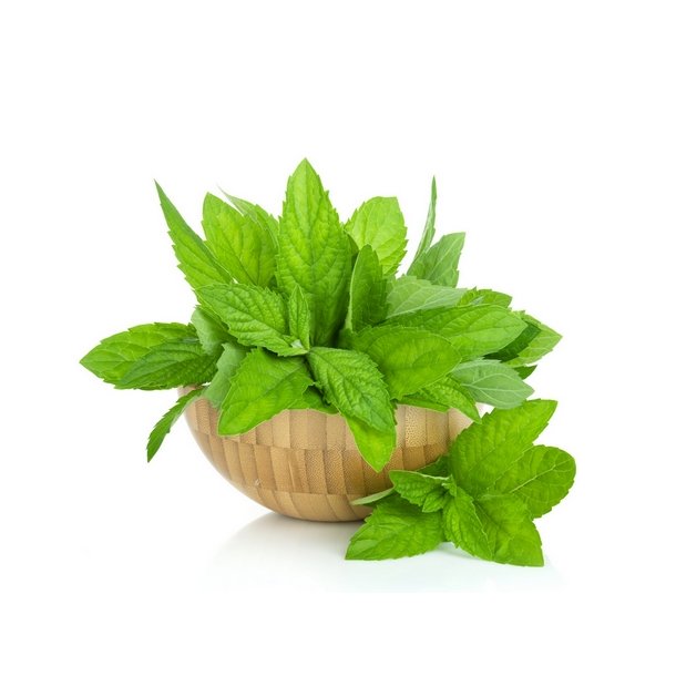 Menthol Sd Aroma