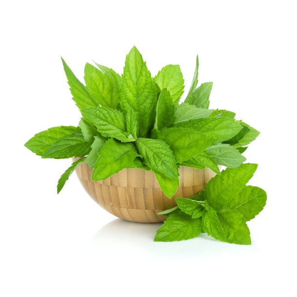 B-Gum Menthol Aroma